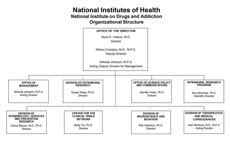 Org chart, see long description below